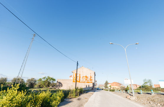 Others on avenue De La Rioja, Agoncillo