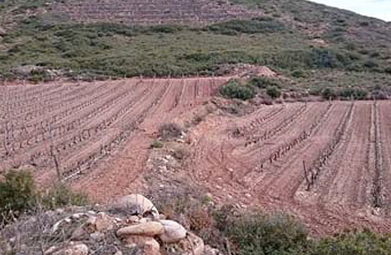 Finca rústica  en paraje Boqueras Alta Pol.6 Parc.297, Navarrete