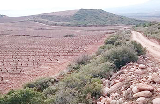 Finca rústica  en paraje Boqueras Alta Pol.6 Parc.297, Navarrete