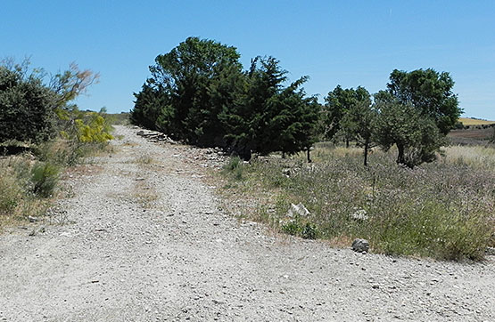 Finca rústica de 22600m² en calle El Salobrillo , Situación Los Cerrillos O Picarrac, Ribatejada, Madrid