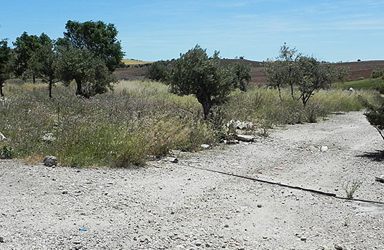 Propriété rustique  dans rue El Salobrillo , Situación Los Cerrillos O Picarrac, Ribatejada