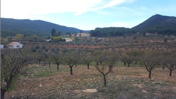 5000m² Others on departure Rural De Bureta S/n, Cehegín, Murcia