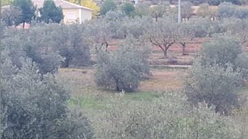 Otros de 5000m² en partida Rural De Bureta S/n, Cehegín, Murcia