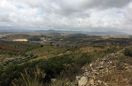 Otros  en paraje El Remendao, Lorca