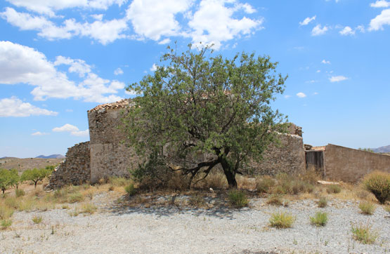 Otros  en paraje El Remendao, Lorca