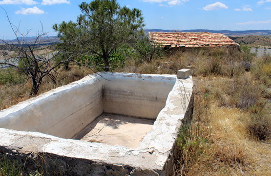 Otros  en paraje El Remendao, Lorca