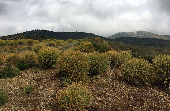 Otros de 21263m² en paraje El Remendao, Lorca, Murcia