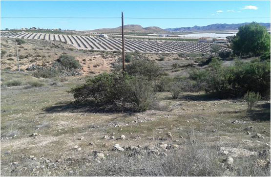 Otros  en camino Del Ferro,pc 1,sitio La Escarihuela Dip, Lorca