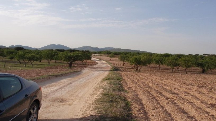 Suelo urbanizable de 8385m² en  Paraje Del Espinar, Diputacion De Palas, Fuente Álamo De Murcia, Murcia