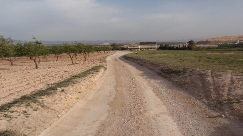 Suelo urbanizable de 5032m² en  Paraje El Espinar, Diputacion De Media, Fuente Álamo De Murcia, Murcia