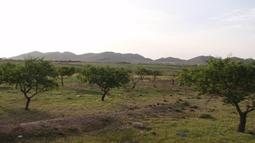 Suelo urbanizable de 1118m² en  Paraje De Espinar, Diputacion De Media, Fuente Álamo De Murcia, Murcia