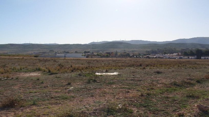 Suelo urbanizable de 24577m² en calle Solana De La Fuente Del Pino P 16 R-4, Jumilla, Murcia