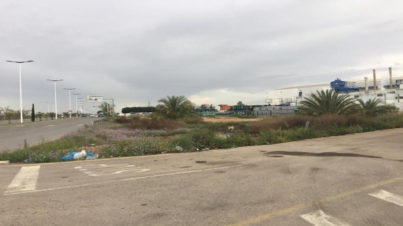 14056m² Urban ground on street Ds Vereda Fortuna, Murcia