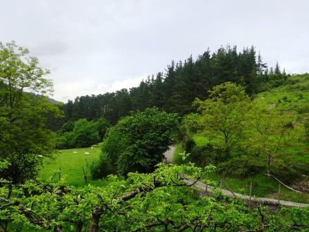 Finca rústica  en paraje Iturriza, Pol.004 Parcela 153, Lemoa