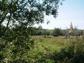 25889m² Developable land on urbanization Sector R,2, Mungia, Vizcaya