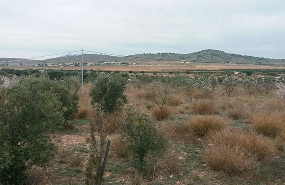 Otros de 5868m² en partida La Solana, Pg 1, Pc 291, Trozo -Camino Hondo-, Algueña, Alicante