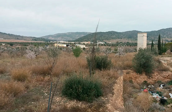 5868m² Others on departure La Solana, Pg 1, Pc 291, Trozo -Camino Hondo-, Algueña, Alicante