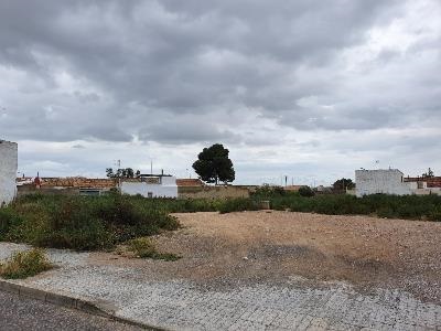 Autres de 595m² dans zone ind. Carrus, Elche/elx, Alicante