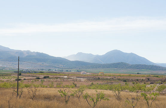 2934m² Others on departure Las Pascualas, Polígono 22, Parcela 27 -S, Pinós (El)/pinoso, Alicante