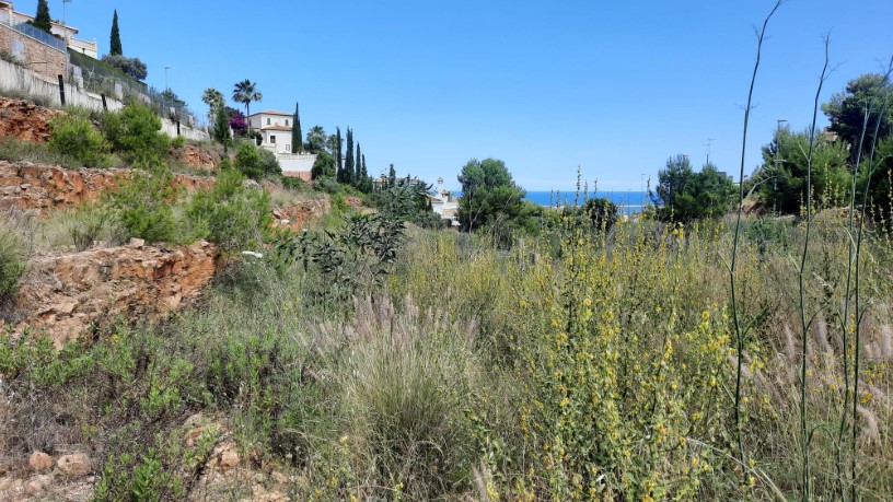 14327m² Urban ground on street Rosa, Dénia, Alicante