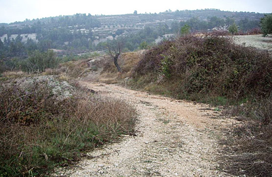 Otros de 4986m² en partida De La Foia Poligono, Benillup, Alicante