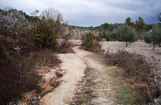 Others  on departure De La Foia Poligono, Benillup