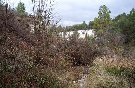 Otros de 4986m² en partida De La Foia Poligono, Benillup, Alicante