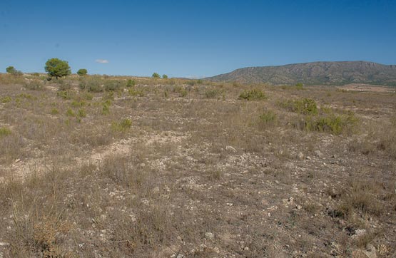 Otros de 17604m² en paraje La Centenera-s/n, Pinós (El)/pinoso, Alicante