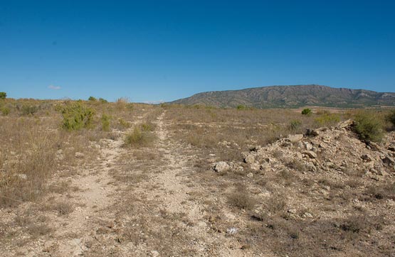 Otros de 17604m² en paraje La Centenera-s/n, Pinós (El)/pinoso, Alicante