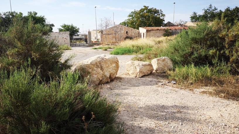 Otros  en calle San Fulgencio, Elche/elx