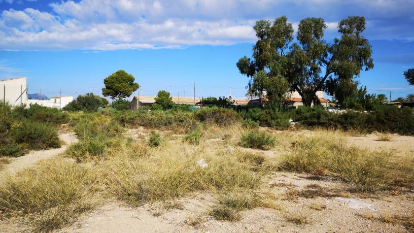 Developable land in street San Fulgencio, Elche/elx, Alicante