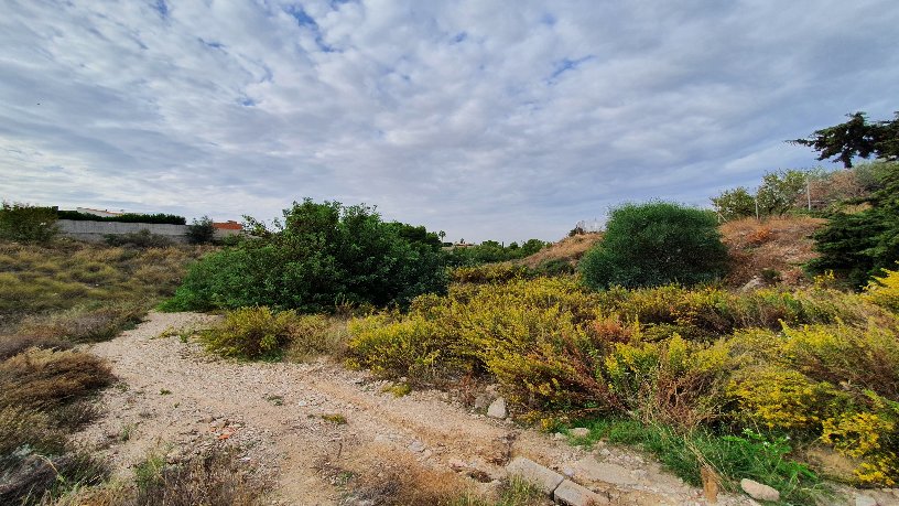 Suelo urbano de 19905m² en urbanización Pla De Lloma, Busot, Alicante