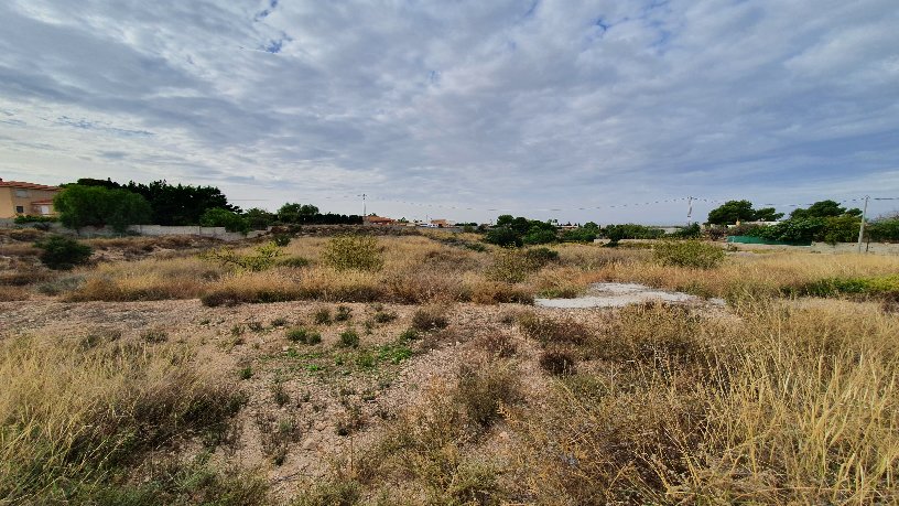 Terrain urbain de 19905m² dans urbanisation Pla De Lloma, Busot, Alicante