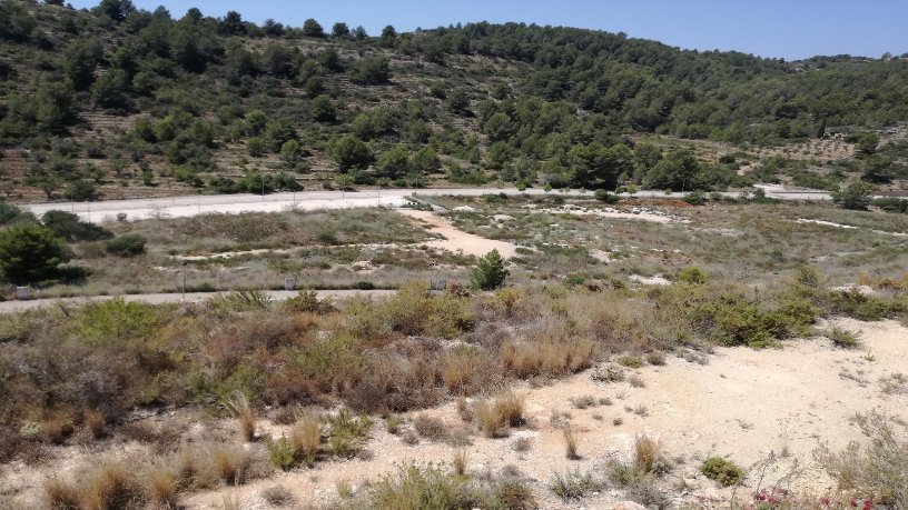 59341m² Developable land on avenue Garrofers Dels, Gata De Gorgos, Alicante