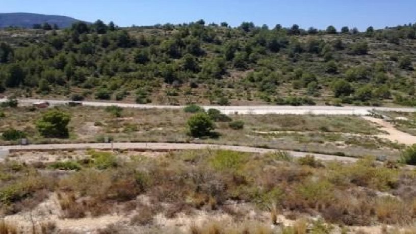 Terrain aménageable de 59341m² dans avenue Garrofers Dels, Gata De Gorgos, Alicante