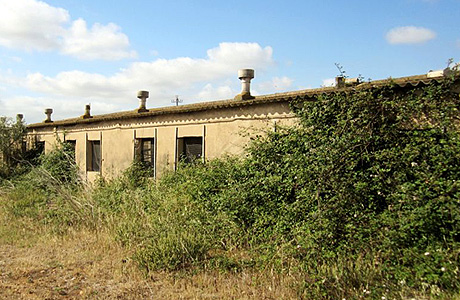 Entrepôt industriel de 4609m² dans départ Prat O Cuadrella, Poligono 21 Parcela 250-s/n, Benlloch, Castellón