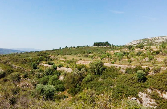 Casa  en paraje Plans, Sant Mateu