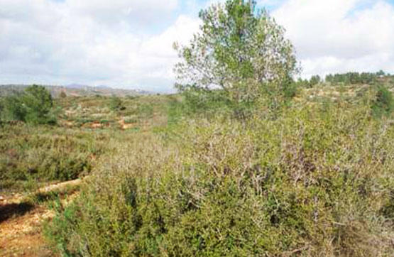 Finca rústica  en partida Bornell S/n, Vall D´alba