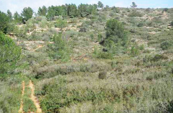 Finca rústica  en partida Bornell S/n, Vall D´alba