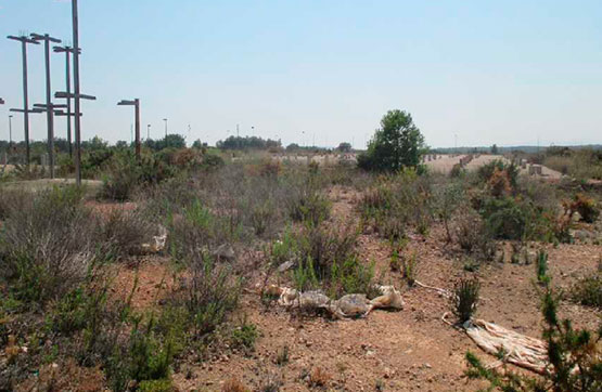 Work stopped on avenue Castellon S/n, Sant Jordi/san Jorge, Castellón