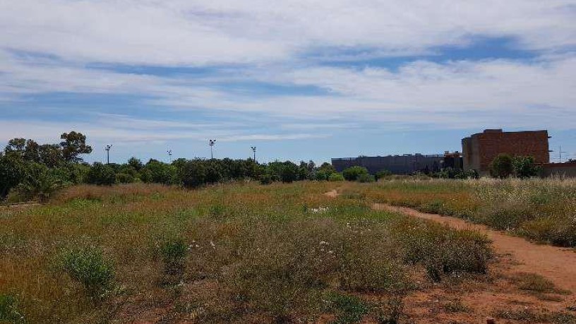 Finca rústica de 14988m² en calle Cuadra Del Saboner, Castellón De La Plana/castelló De La Plana, Castellón