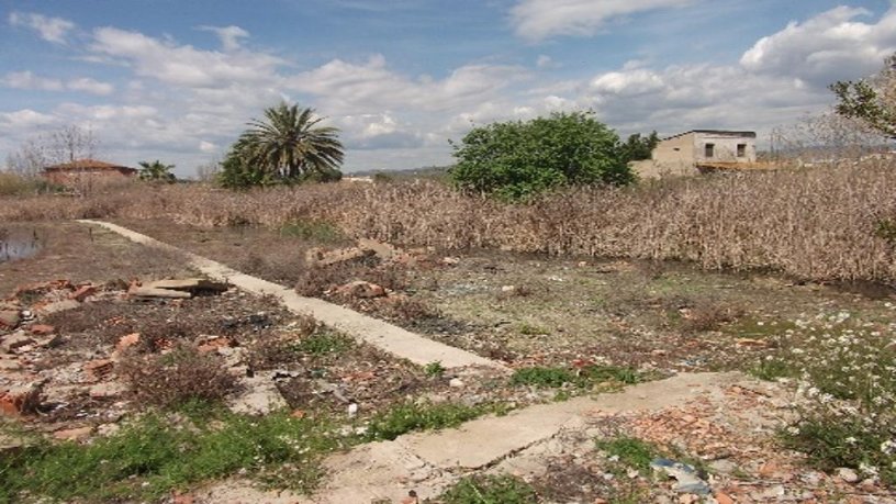 Finca rústica de 1564m² en pol. ind. 23uer Poligono 50 Parcela 59, Castellón De La Plana/castelló De La Plana, Castellón