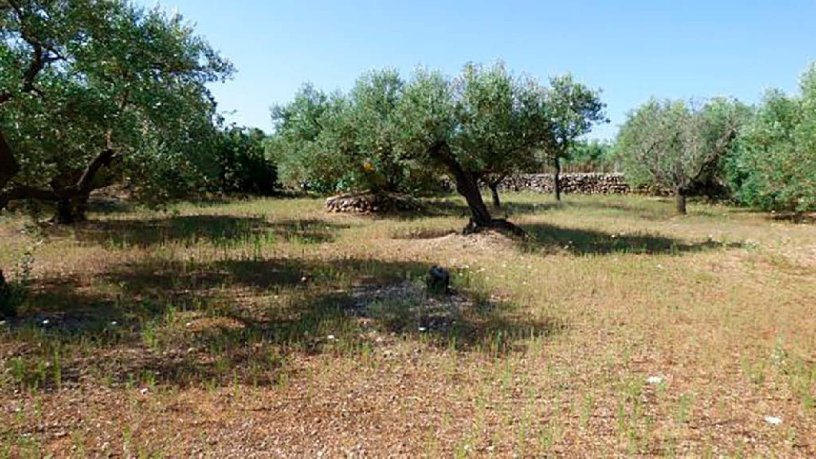 Rustic property in  Lloses, Sant Mateu, Castellón