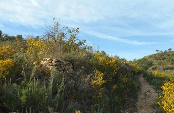 Finca rústica  en pasaje Titonares. Pol 18, Parcela 53, Segorbe