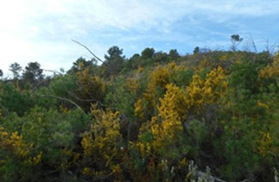 Finca rústica  en pasaje Titonares. Pol 18, Parcela 53, Segorbe