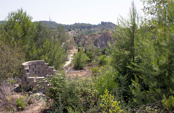 Otros  en partida Cantarals, En Xàtiva, Y Font De Vaques, En Llosa D, Llosa De Ranes (La)