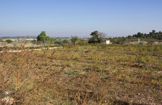 Finca rústica de 1992m² en paraje Benialí-s/nº, Llíria, Valencia