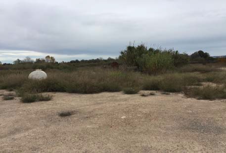 Autres de 8980m² dans départ Rincon De La Piedra Polg.45 Parc.114, Carcaixent, Valencia