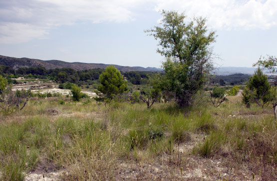 Finca rústica de 14369m² en partida Foya De La Palmera, Polígono 1, Parcela 12-78-81, Olleria (L), Valencia