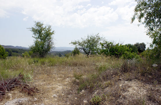 Rustic property on departure Foya De La Palmera, Polígono 1, Parcela 12-78-81, Olleria (L)